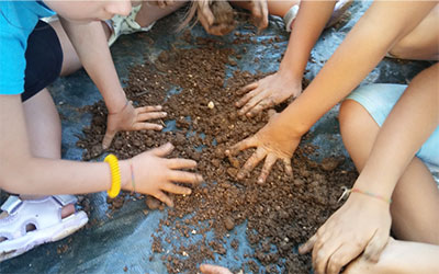 Laboratorio Guerrilla Gardening