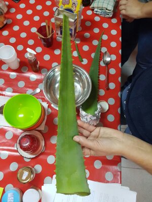 mamaterra bio estetica